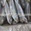 Good Freshness Horse Mackerel (20cm+)