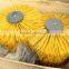 Electric Body Brush for Cow