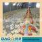 2015 Complete Durable Automatic Used Farm Equipment for Broiler