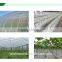 widely used greenhouse plastic film with competitive price