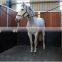 manufacture high density 180cm*122cm 1m*1m COW/HORSE EVA FLOOR MAT