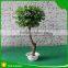 Mini bonsai artificial ficus ball tree