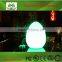 Cordless rechargeable led light of egg