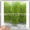 China supplier new product bamboo price plastic lucky bamboo plants for sale