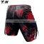 Sublimation designs and custom logo MMA shorts Mma wear