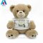 lovely girls pink plush stuffed teddy bear toys for gifts