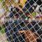 bird netting 20 x 20 m, Agriculture bird netting, Bird protect netting