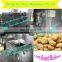 Gas Model Soybean Roasting Machine | Soybean Roaster in China