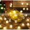 Premium quality Christmas outdoor pom pom led string light for Christmas Decorative