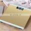 Glass Shaped Personal Digital Portable 180Kg 396Lb Weight Scale Full Body Scale