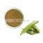 100% Pure Natural Organic Okra Extract with High Quality