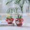 Handmade Jingdezhen Ceramic creative paint pots