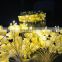 Hot sale 15cm decorative festival battery operated LED artificial birch pot simulation flower tree light
