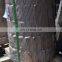 Custom-Made Cheap Various Design Astm A694 F70 Steel Flange