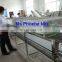 stainless steel vegetable sorting machine/potato sorting machine/potato sorter