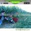 Small Corn Harvester Machine mini corn combine harvester with China manufacturer