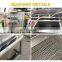 Mushroom Washer Calamansi Vegetable Cleaning Machine Bubble fruit vegetable washing machine