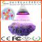 E27 12W LED Plant Grow Light Red Blue LED Lights Bulb for Plants in Hydroponic Garden Greenhouse & Indoor Plants
