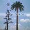 30ft NEA electrical power pole for electrical transmission line