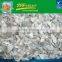 Chinese Grade A IQF Frozen Baby Oyster Mushroom