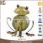 Wood body metal frog garden decoration