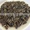 export sunflower seeds black sunflower seed market price