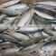 fresh frozen fish horse mackerel