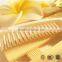 Exquisite Hotel Folding Comb Hair Brush for Travel Kit