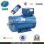 Manufacturer ST 2kw Alternator With Brush