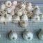WHITE FRESH HIGH QUALITY GARLIC VIETNAM