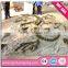 Large dinosaur fossils in Zigong for sale