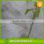 PP Spunbond Polypropylene Nonwoven Fabric ss Fabric, Agriculture UV Resistant Nonwoven Fabric for Fruit Protect