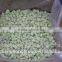Supply new crop frozen kiwi dices with high quality