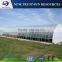 High quality single layer tunnel plastic film greenhouse for vegetable growing