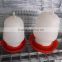Automatic Chicken Water Drinker And Feeder Barrel Wholesale
