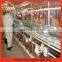 Stable steel structure professional chicken egg layer cage chicken egg laying machine                        
                                                                                Supplier's Choice