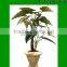 Artificial Taro/Dieffenbachia/small trees used for home or office decoration