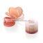 Unique 6 Color Cosmetic Plastic Empty Compact Powder Container