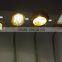 BLC8610 explosion proof flat desk lamp for ourdoor IP65 220V