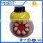Mini incubator automatic 8 chicken eggs incubator
