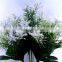 Artificial Decorative Flowers H24cm White Garden Filler Plastic Springeri