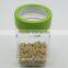 Hot Sale Square Glass Spice Bottle with See-Through Lid
