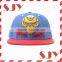 Splendid Custom 3D Embroidery Wool Acrylic snapback baseball cap