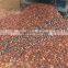 Natural Rubber Sheet rubber band strap granule making helix crushing machine