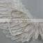 Wholesale designs fancy dress fairy feather angel wings