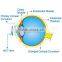 WEB Hard contact lens,Vision Correction,Low Myopia,Remove glasses from China