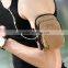 Fashionable Multi-Function Running Arm Bag Available