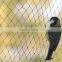 Anping decorative bird cage wire/sample free/new design