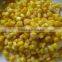 New Crop Canned Foods / Canned whole kernel corn 425g