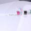 GTO Newest 600 Needle Derma Roller (CE Approval)